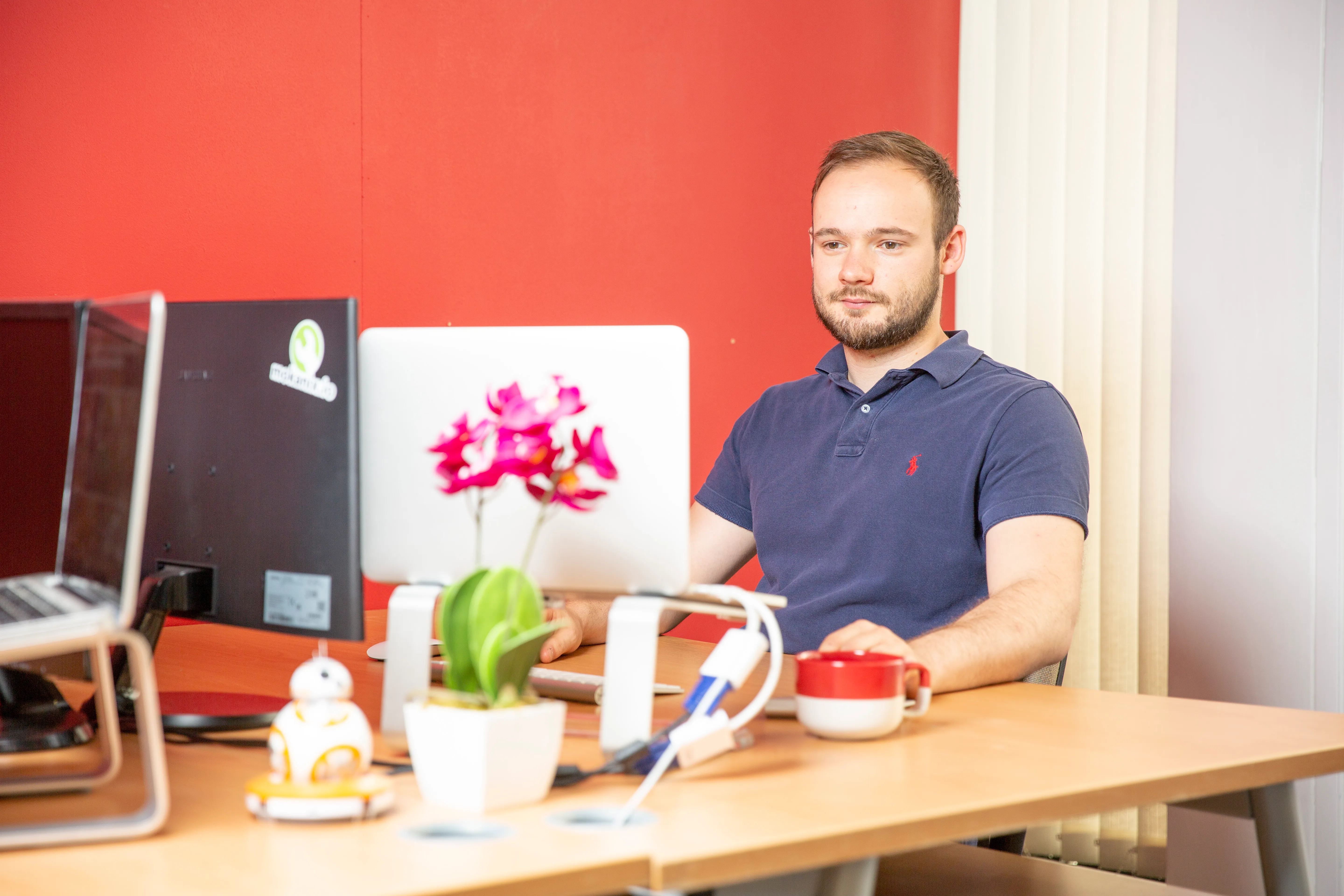 A team member sat at their desk working on their laptop